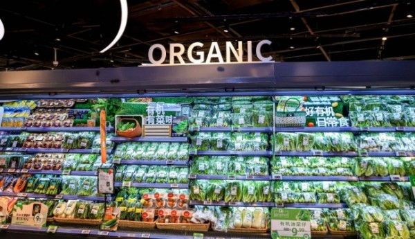 Olé Food Hall双城接力焕新，加速有机战略落地