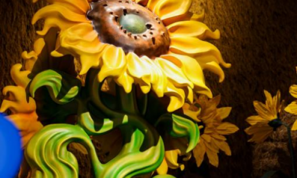 亚洲首站，纽约植物园《梵高花园》国际展坪山启幕